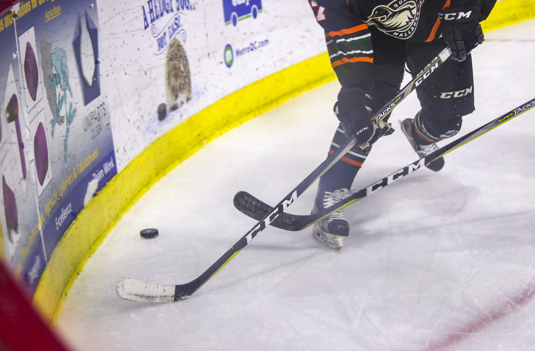 040418-MALLARDS-RAPID-CITY-009